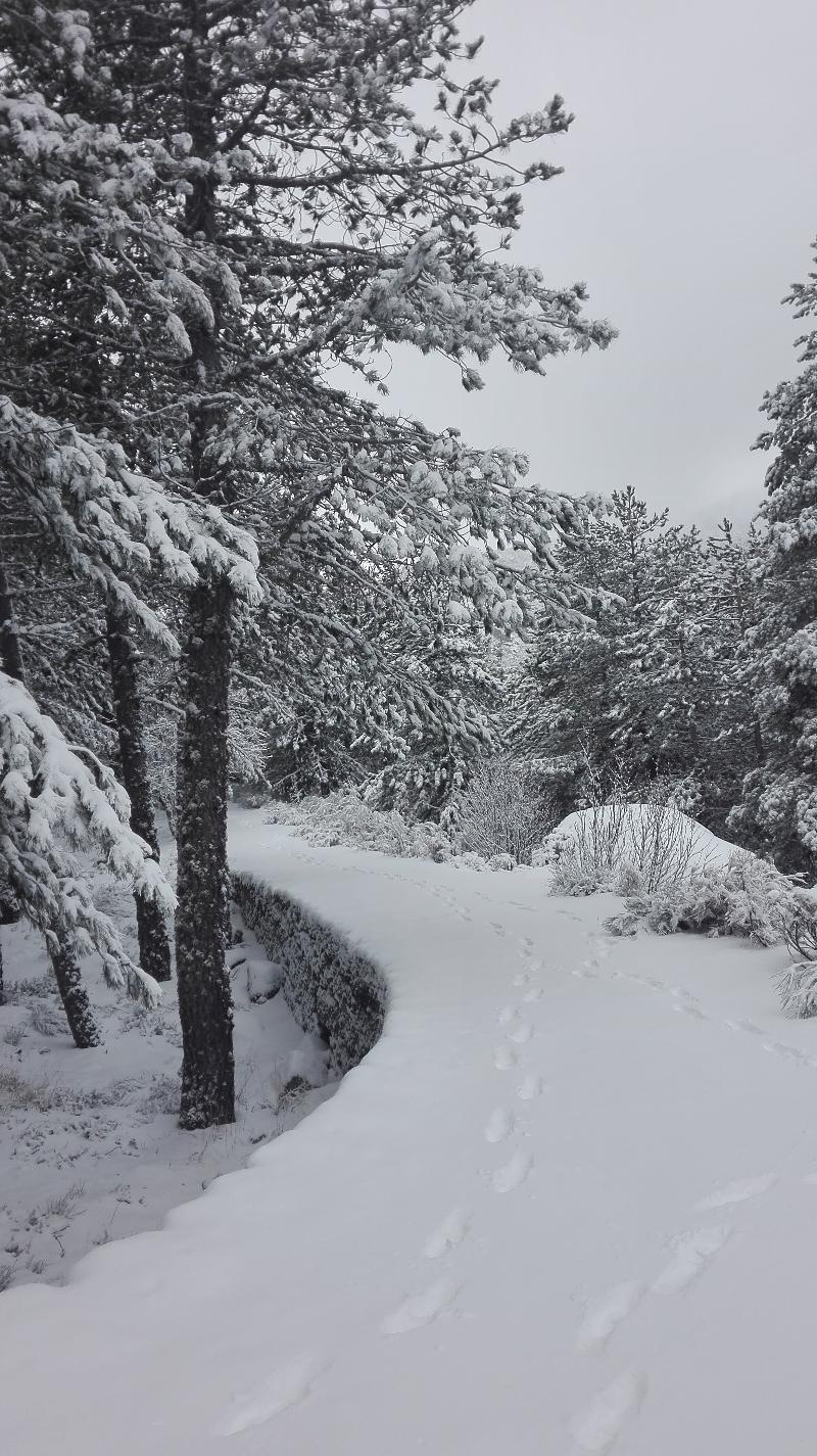 Pousada Da Serra Da Estrela Covilha Exterior photo